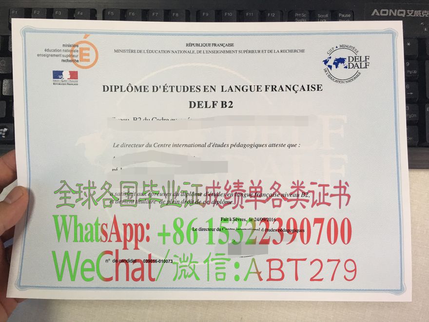 买假的法语学习证书(DELF)