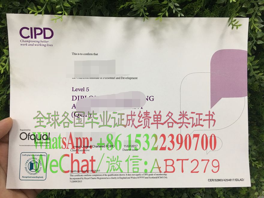 哪里能仿制CIPD英国特许人事与发展协会证书