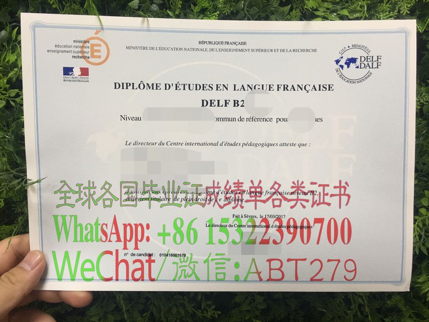 怎么办假DELF-DALF法语文凭