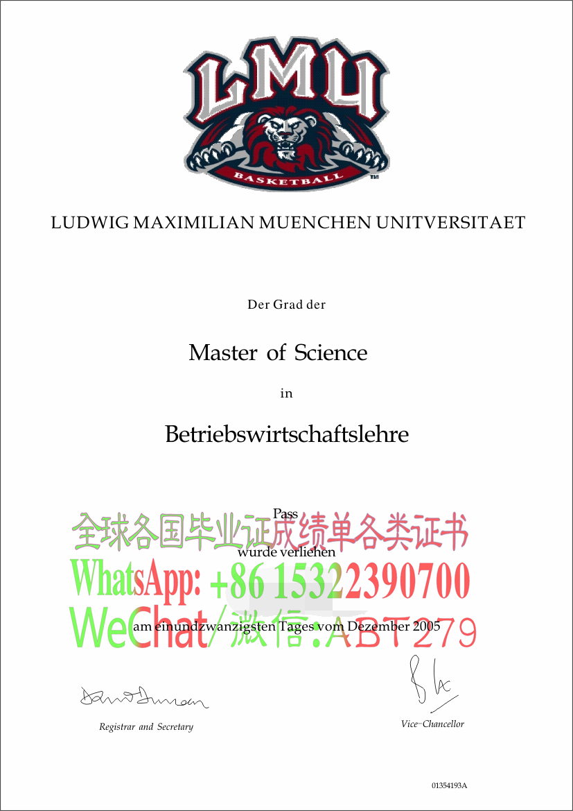 慕尼黑大学文凭能做假吗