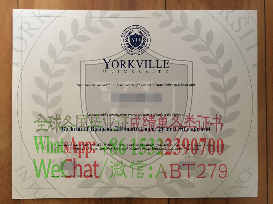 约克维尔大学学位证书假的怎么做